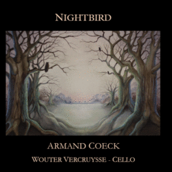 CD Nightbird